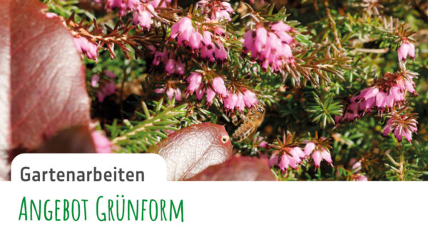 Gruenform-Gartenblatt_10-Gartenarbeit