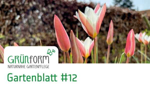 _Gruenform-Gartenblatt_12-Head