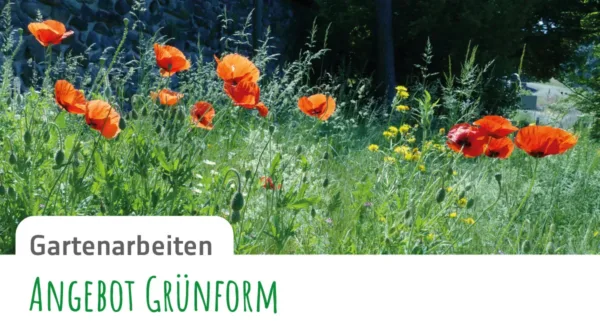 Gruenform-Gartenblatt_13-Gartenarbeiten2