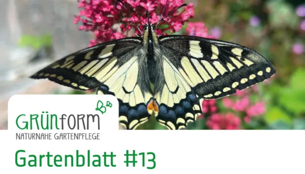 Gruenform-Gartenblatt_13-Head1