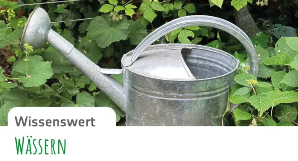 Gruenform-Gartenblatt_13-Wissenswert