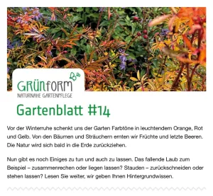 Gartenblatt-Titel